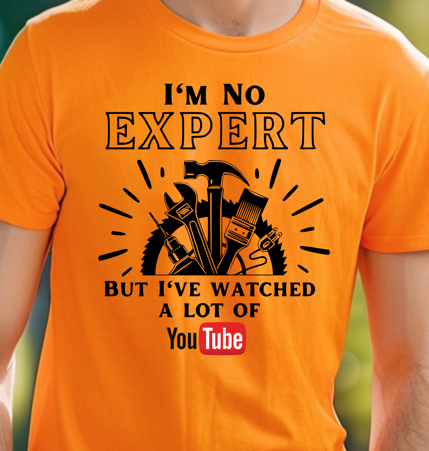 I'm No Expert